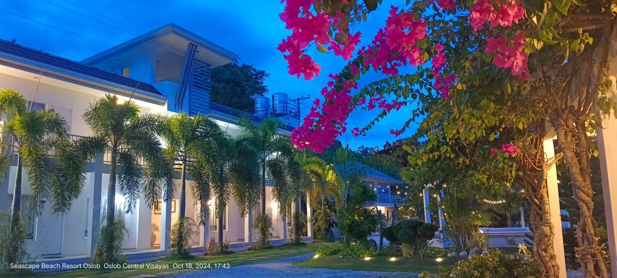 Seascape Beach Resort Oslob Exterior photo